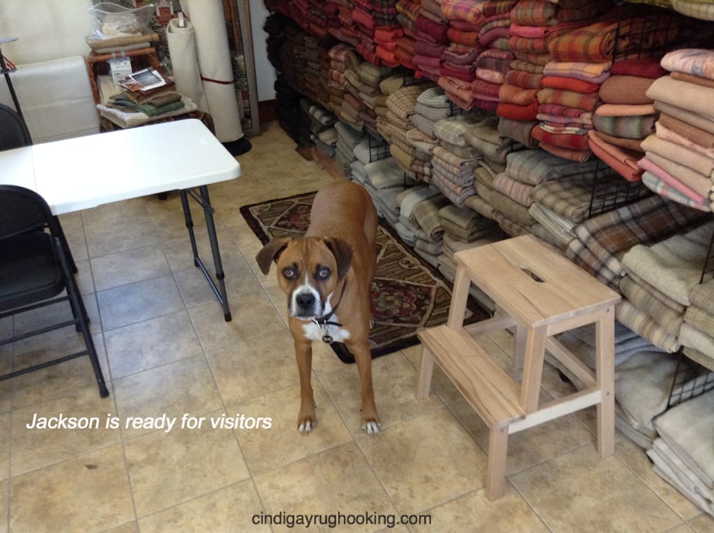 Rug Hooking Classes with Cindi Gay How to rug hook