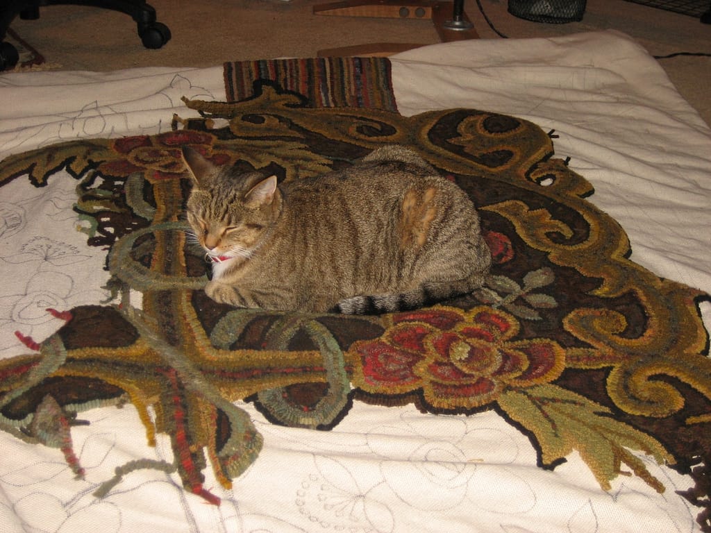 My cat, Georgia, enjoying my room sized hooked rug