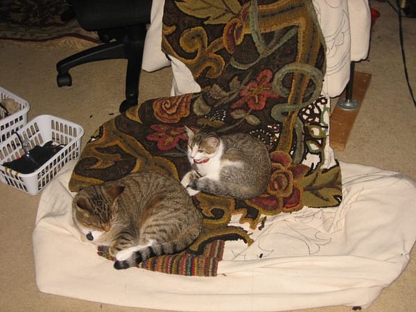 Two cats on room=sized hooked rug still on the frame