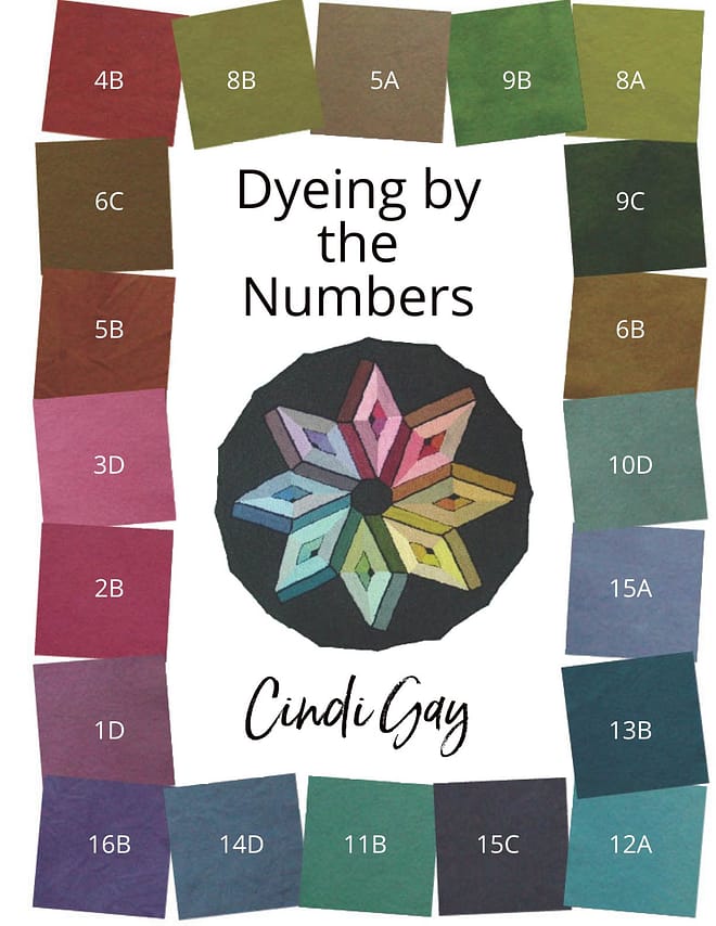 Dyeing by the Numbers, Version 4 by Cindi Gay