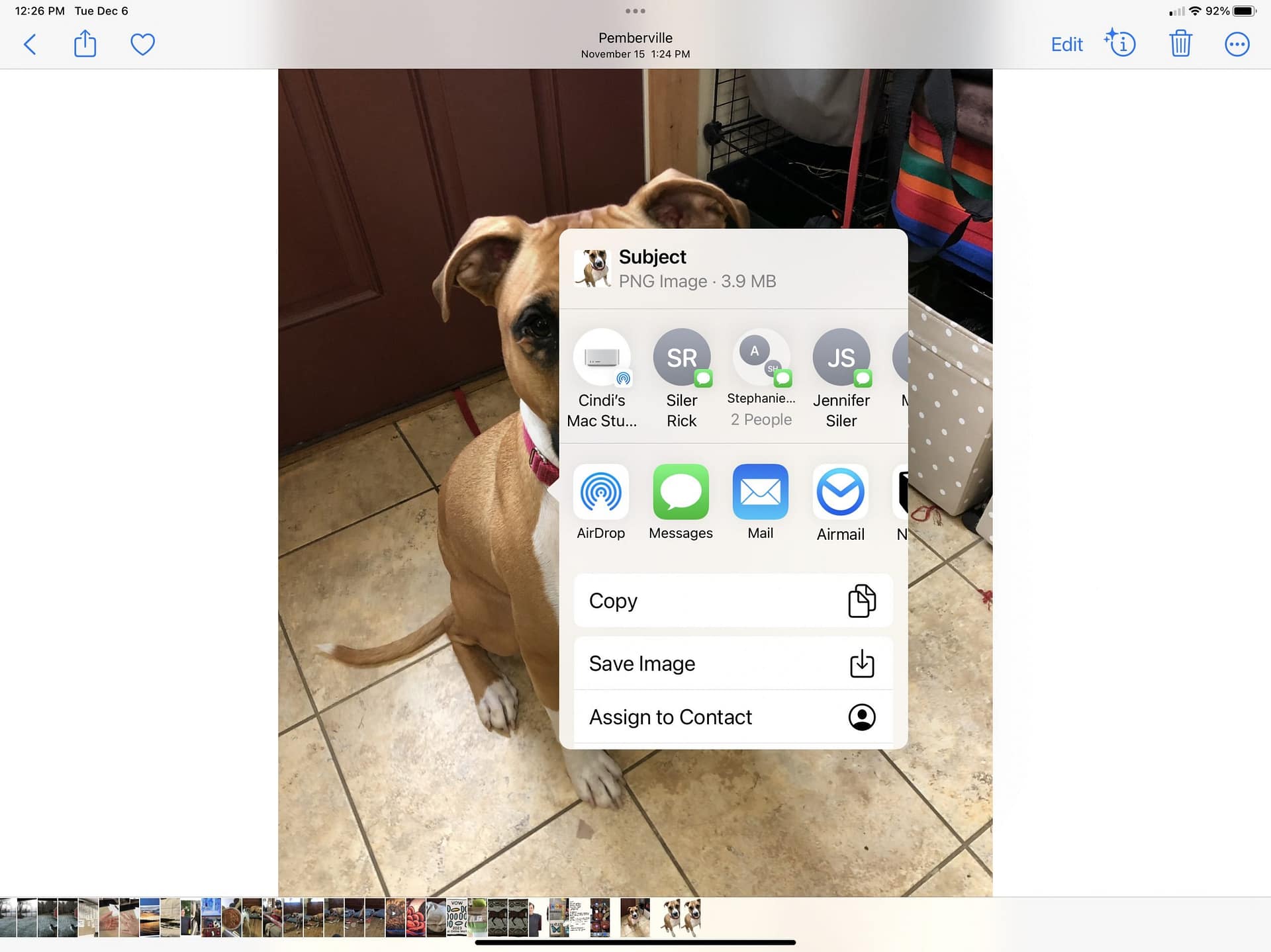 Remove background from images • Cindi Gay Rug Hooking